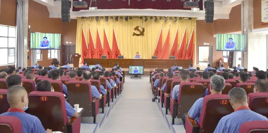 无码人妻视频又大又粗欧美