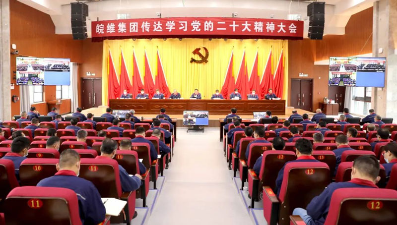 无码人妻视频又大又粗欧美