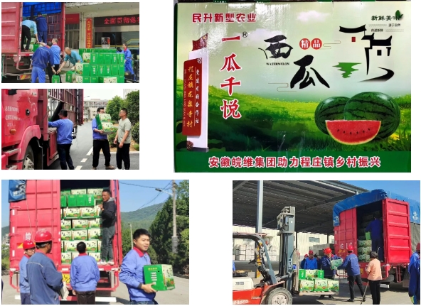 无码人妻视频又大又粗欧美