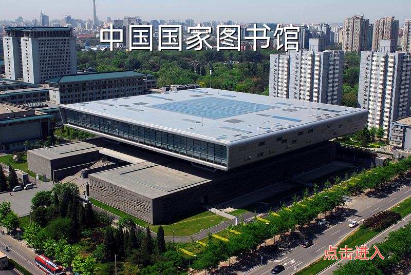无码人妻视频又大又粗欧美