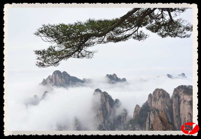 无码人妻视频又大又粗欧美