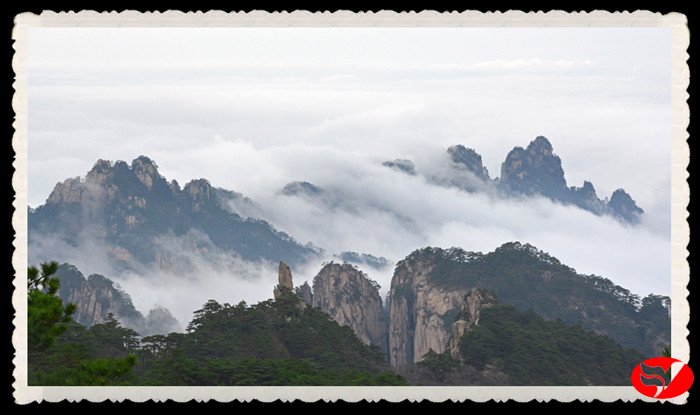 无码人妻视频又大又粗欧美