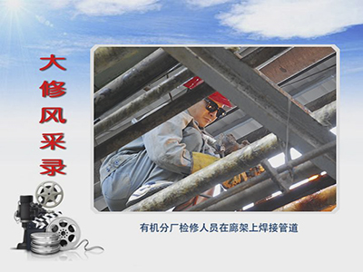 无码人妻视频又大又粗欧美