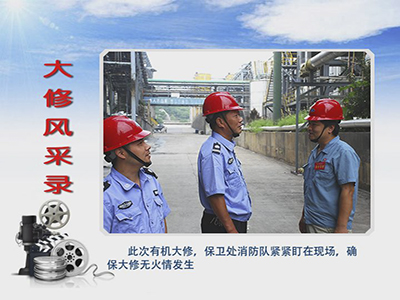 无码人妻视频又大又粗欧美