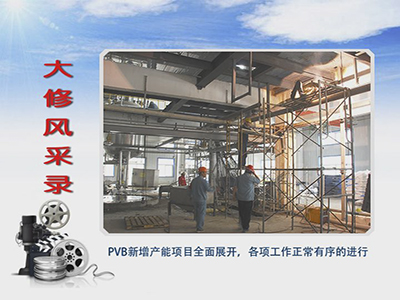 无码人妻视频又大又粗欧美