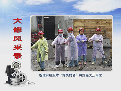 无码人妻视频又大又粗欧美