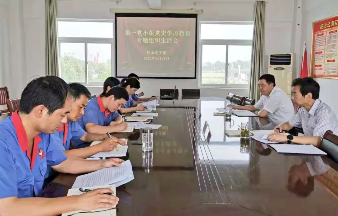 无码人妻视频又大又粗欧美